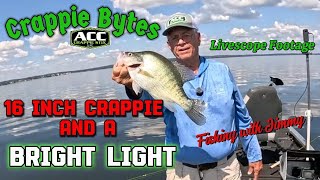 видео: 16-дюймовое приключение с краппи! 🎣 Большой кусок и один яркий свет #wurkkos #livescope #crappief... картинка: 16-дюймовое приключение с краппи! 🎣 Большой кусок и один яркий свет #wurkkos #livescope #crappief...