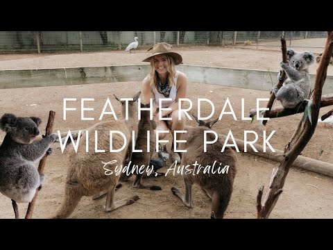 Video: Návšteva Featherdale Wildlife Park