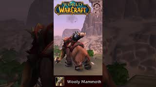 Wooly Mammoth - WoW mount showcase 🟦