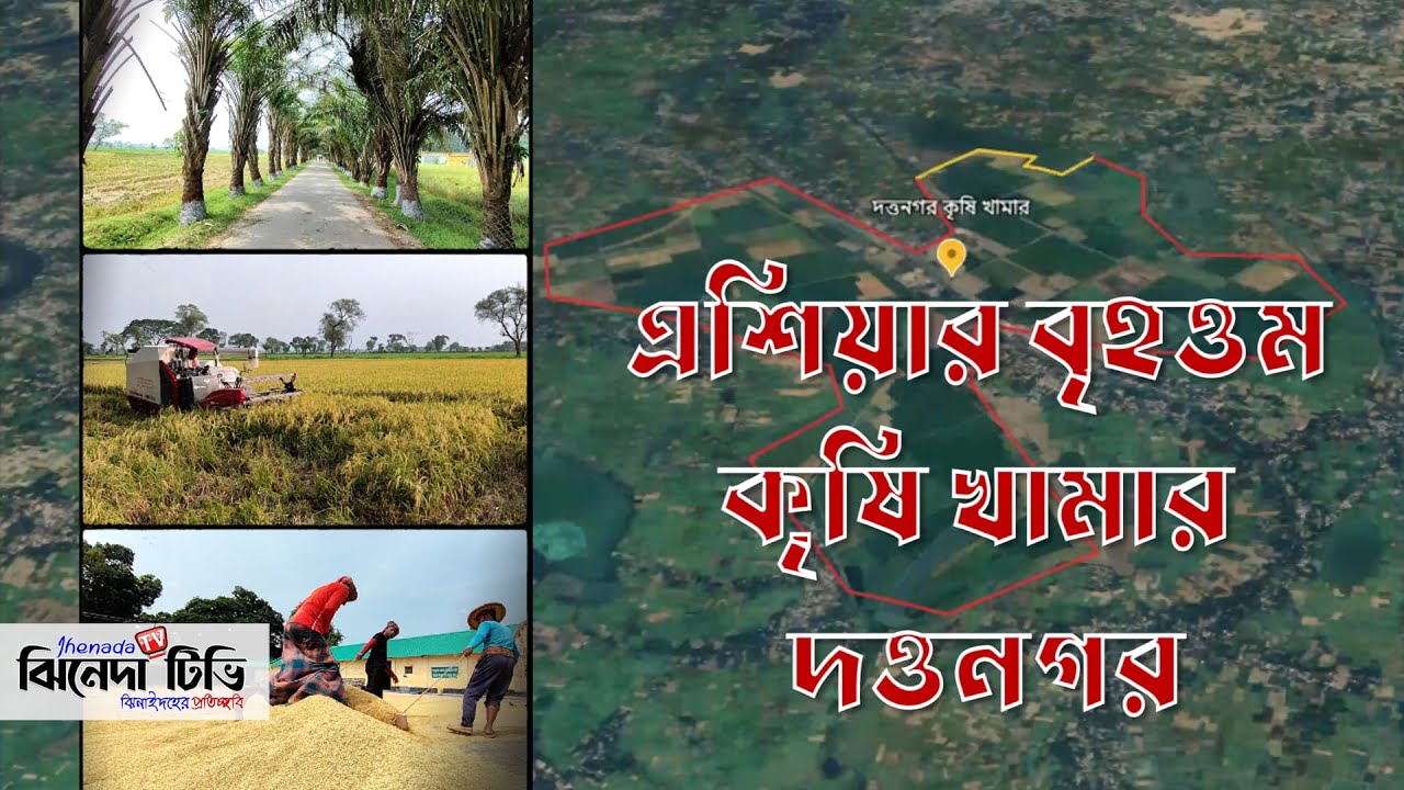 দত্তনগর কৃষি খামার। এশিয়ার অন্যতম বৃহত্তম খামার | ব্রান্ডিং ঝিনাইদহ (পর্ব-৩০)
