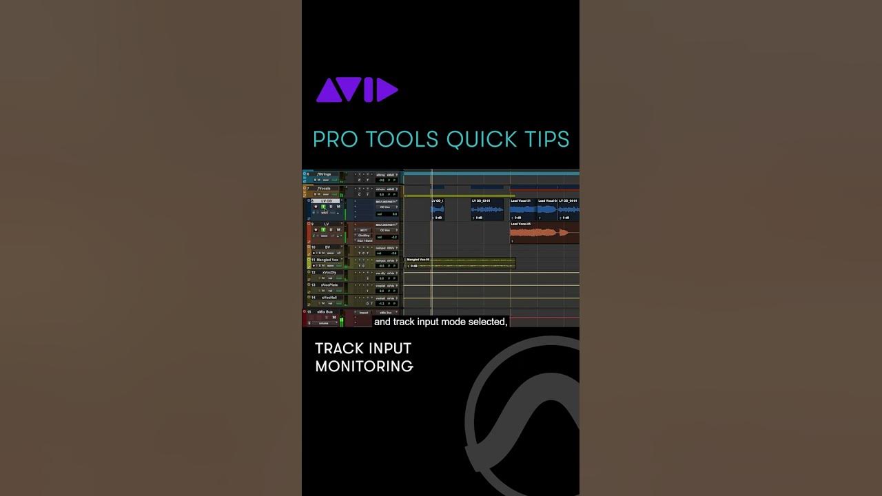 See how to use Track Input monitoring in Pro Tools YouTube