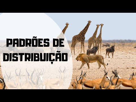 Vídeo: O que é distribuição populacional em ecologia?