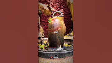 Mahadev status video 💫 bholenath status ☘️ mahakal status#mahadev #shorts