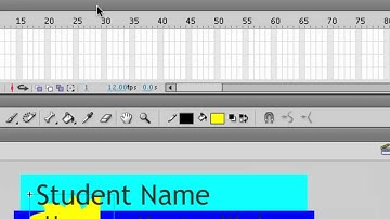 Building a Flash Website - Step 1 the Setup
