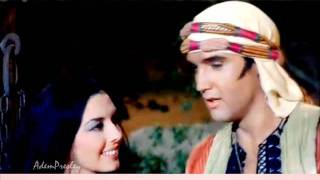 Elvis Presley  - My Desert Serenade (take 8)