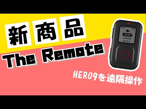 割引有り【Gopro】smart remote (スマートリモート) Gopro