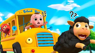 Ten Little Buses, Boo Boo Song & other baby dance party rhymes by Blue Fish 2023 | 4K videos