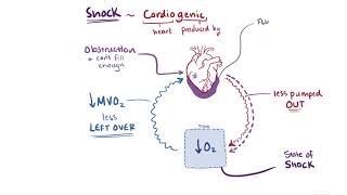 Shock | Osmosis