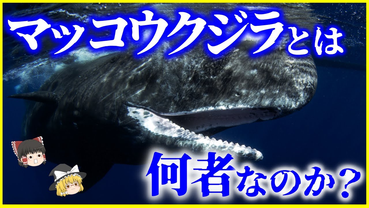 【ゆっくり解説】脳の脂で●●⁉鼓膜破裂⁉超絶危険な「マッコウクジラ」とは何者なのか？を解説