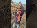 Ajay comedian Koriya 6