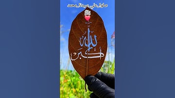 اللهم أغفرلنا ورحمناء برحمتك يا أرحم الراحمين اللهم اجعل القرآن الكريم ربيع قلوبنا ونور صدورنا#عمرو_