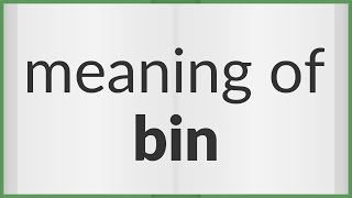 Bin | meaning of Bin
