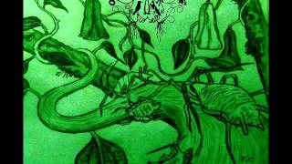 Lapageria Rosea - Cryptomonas y Melosiras