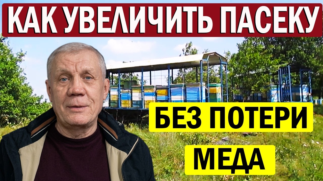 Как быстро увеличить пасеку? Технология о которой мало кто знает !