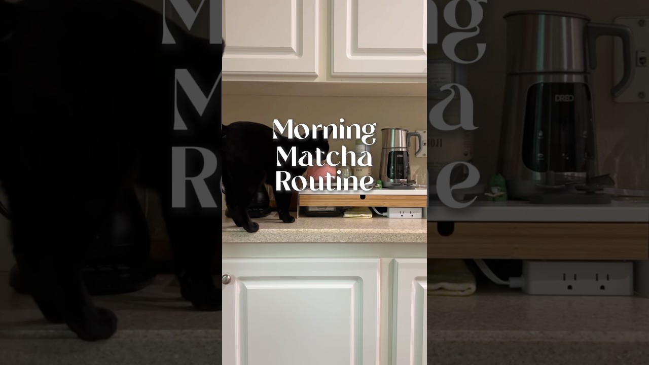 My daily matcha routine (ft. my cat Bean) 🐾🍵 