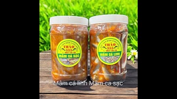 Mắm cá linh +Mắm cá sạc đặc sản châu dốc