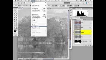 Picture Perfect Workflow Part 3. Contrast Adjustment