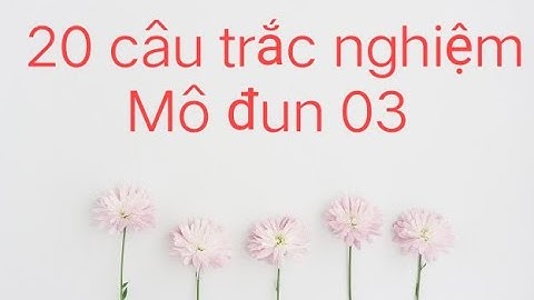Mô đun 03 || ĐÁP ÁN 20 CÂU TRẮC NGHIỆM TỔNG KẾT MÔ ĐUN 03