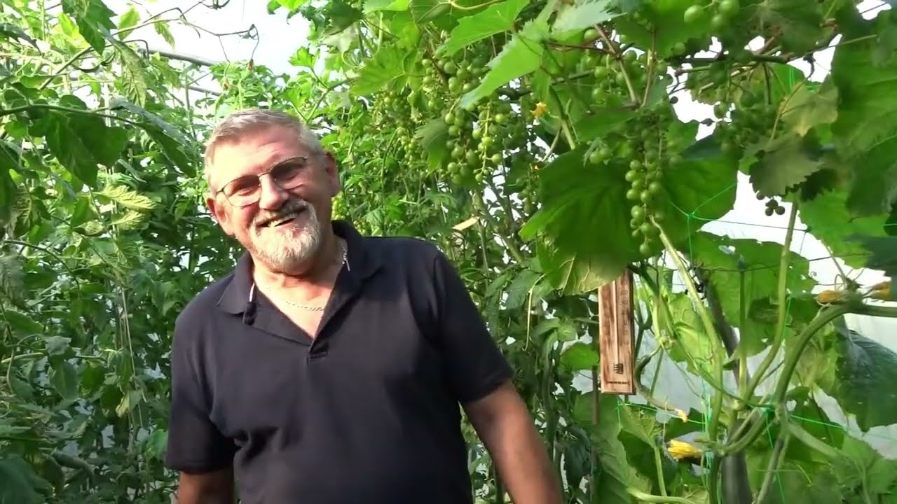 le 10/07/2023 : Comment optimiser un jardin de 56 m2 ?