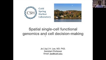 Spatial single-cell functional genomics and cell decision-making