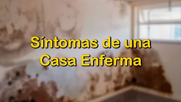 ¿Puede tu casa enfermarte?