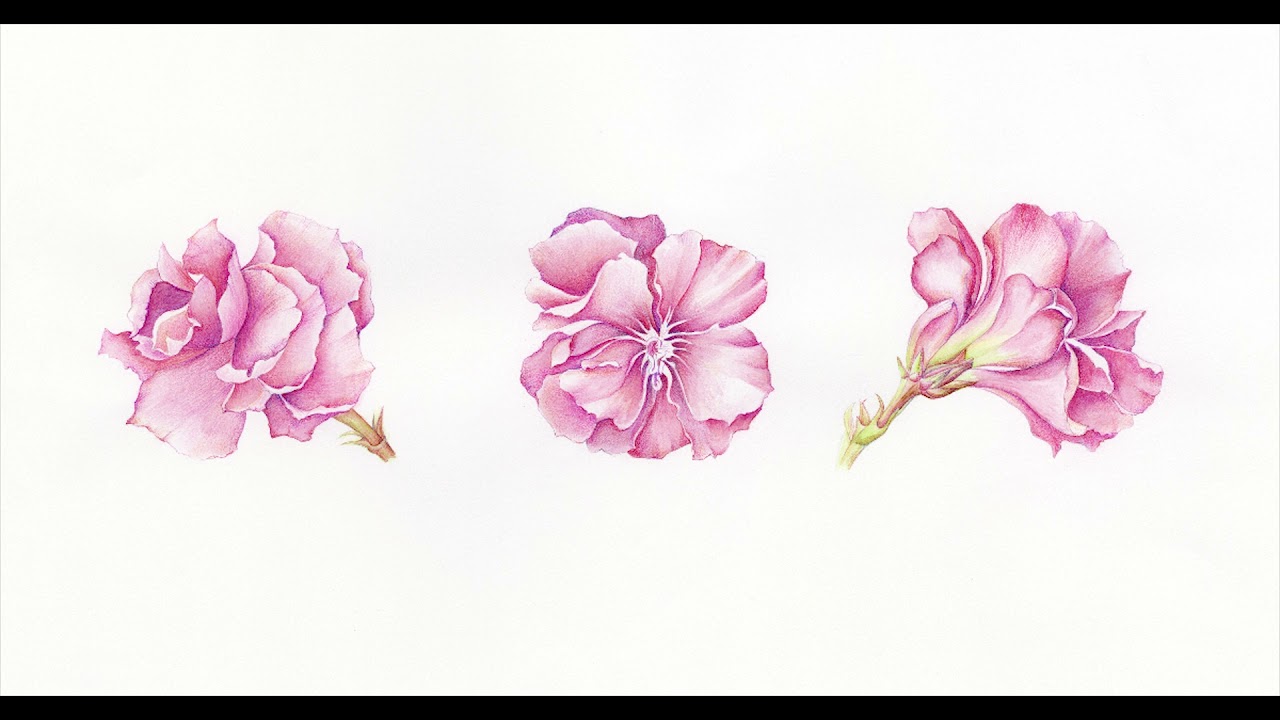 KANER VILLA 4 Dec 2021.mp4