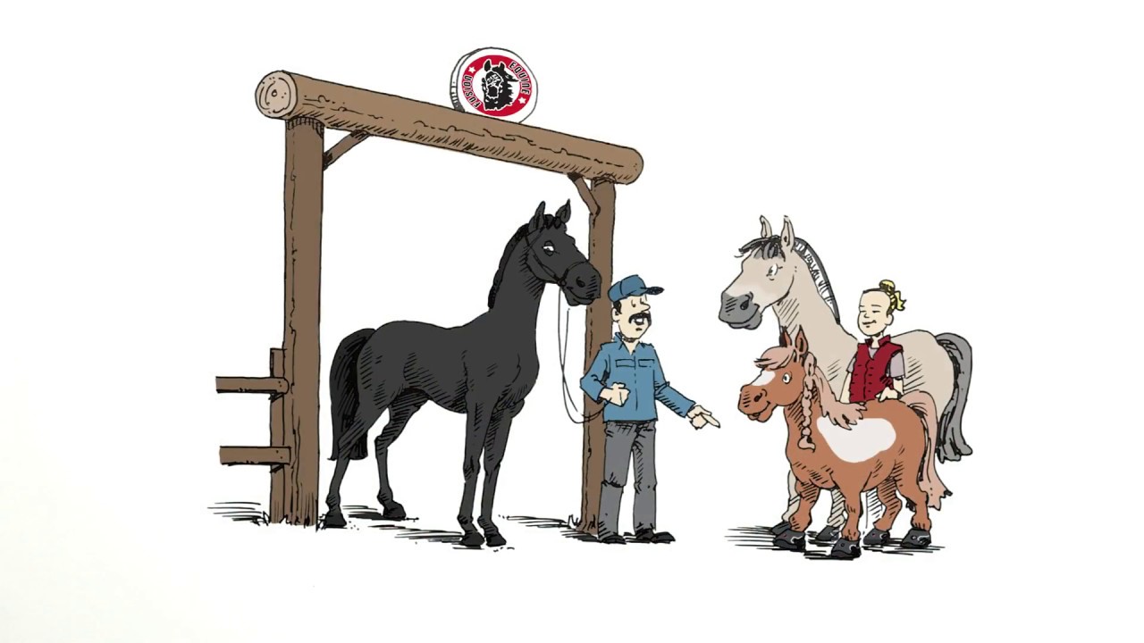 Equine Ranch Episode 1 English YouTube