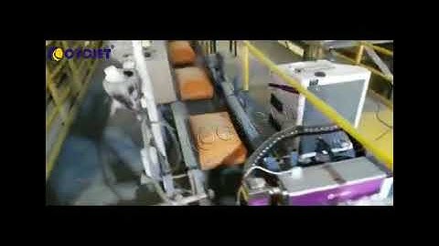 How to Print Cement Bags by CYCJET LC30F CO2 Fly Laser Marking Machine Online Laser Marking