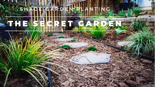 Shade Garden Planting / The Secret Garden Woodland Path