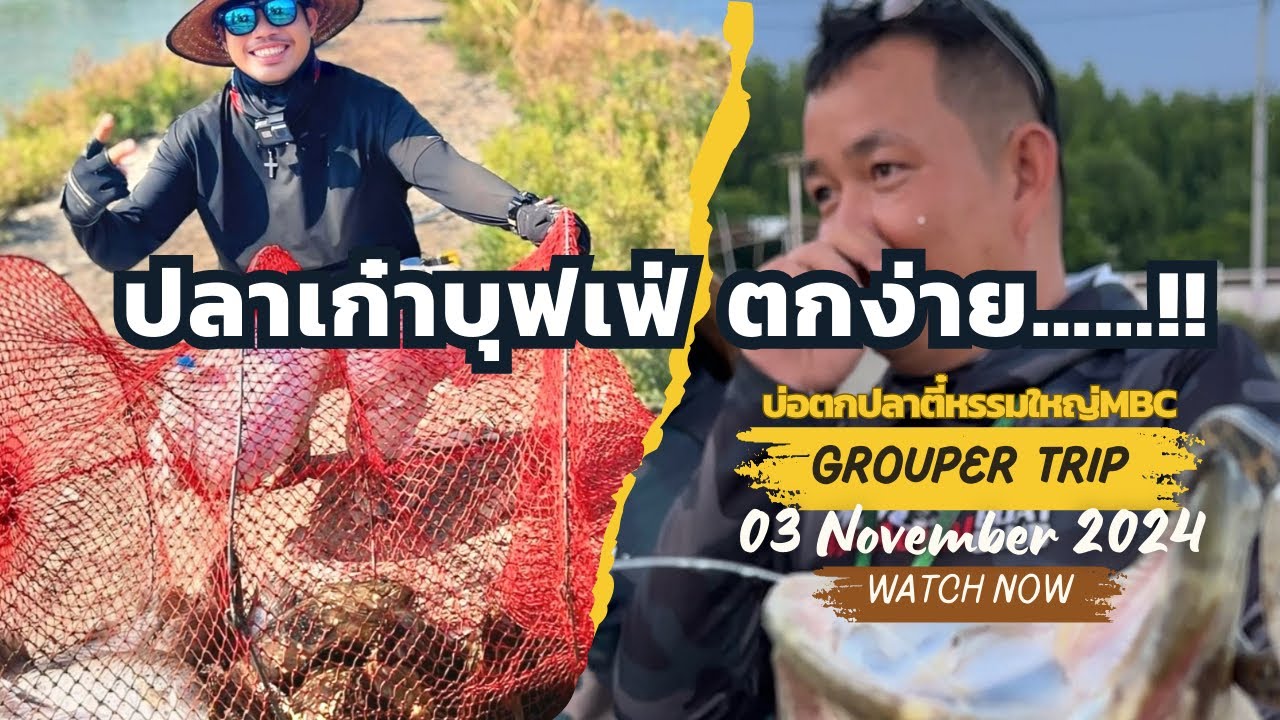 ตกปลาเก๋าบุฟเฟ่และเทคนิค(ส่วนตัว) @บ่อตกปลาตี๋หรรมใหญ่ MBC￼