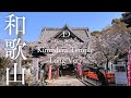 [桜ドローン撮影4K] 和歌山県紀三井寺の桜 Kimiidera Temple, Wakayama (Long Ver. )｜桜ドローンプロジェクト