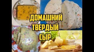 Топ 3 самых вкусных рецептов домашнего сыра / Домашний твердый сыр из творога Топ 3 самых вкусных рецептов домашнего сыра / Домашний твердый сыр из творога