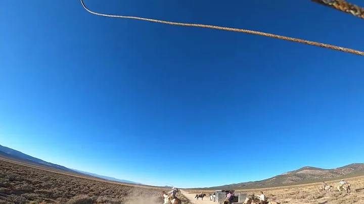 Race to load em first