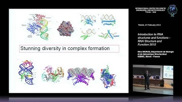 D. Moras - Introduction to RNA structures and functions