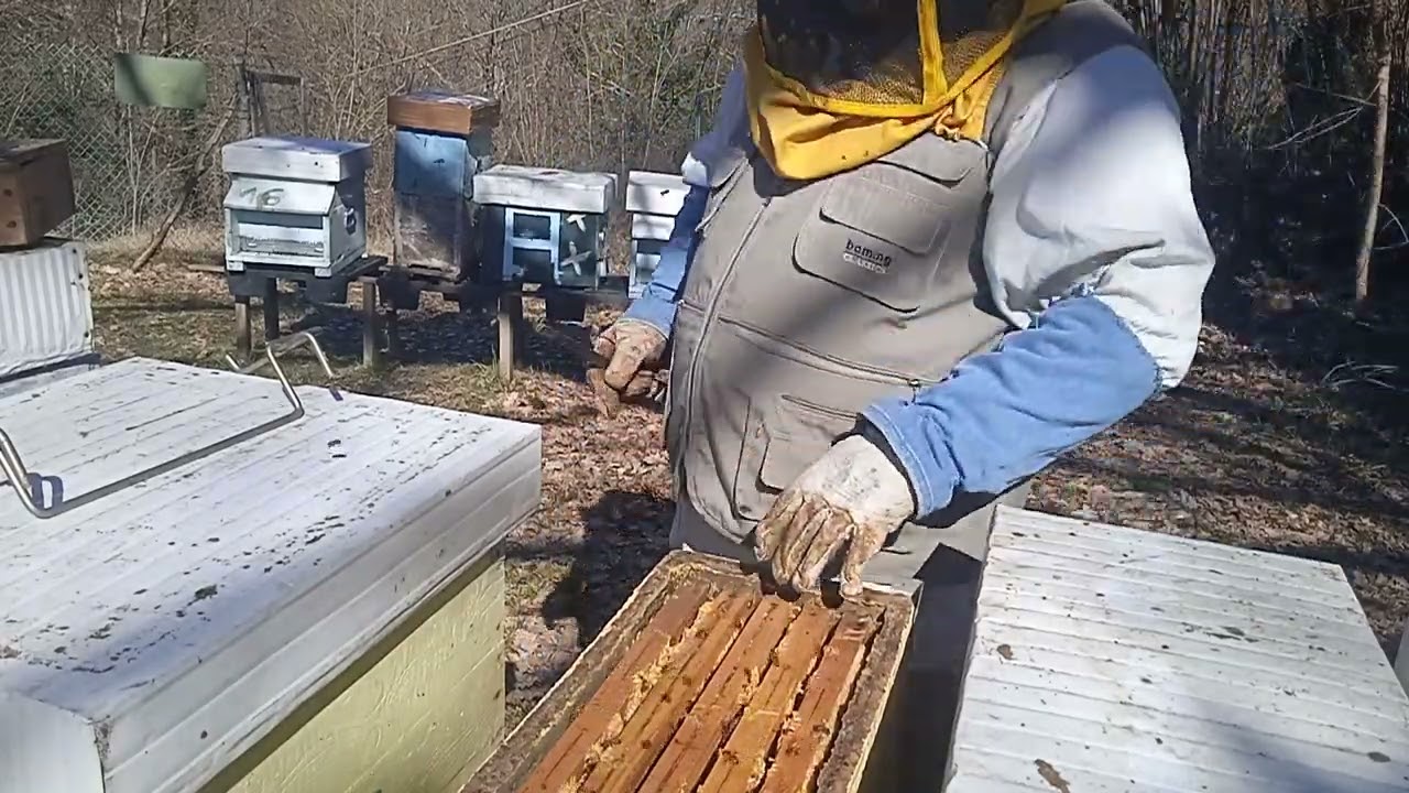 Spatiu de ponta in aceasta perioada poate sa faca diferenta la roi .