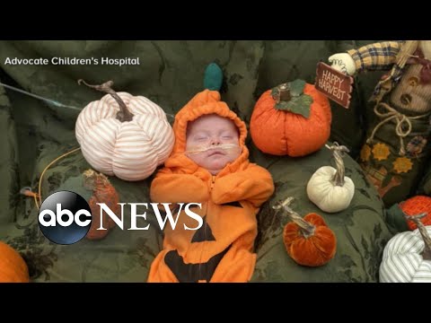Too cute to spook: nicu hosts halloween costume contest
