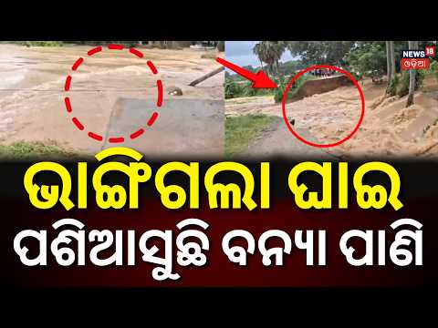 ସୁ ସୁ ହୋଇ ମାଡି଼ଆସିଲା | Baitarani River Flood: Kani River Embankment Breach Floods Villages in Jajpur