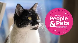 Mittens Cutting | PDSA Pet Patient | Winter Appeal 2023