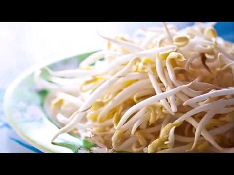 Do you know the Health Advantages of Bean Sprouts