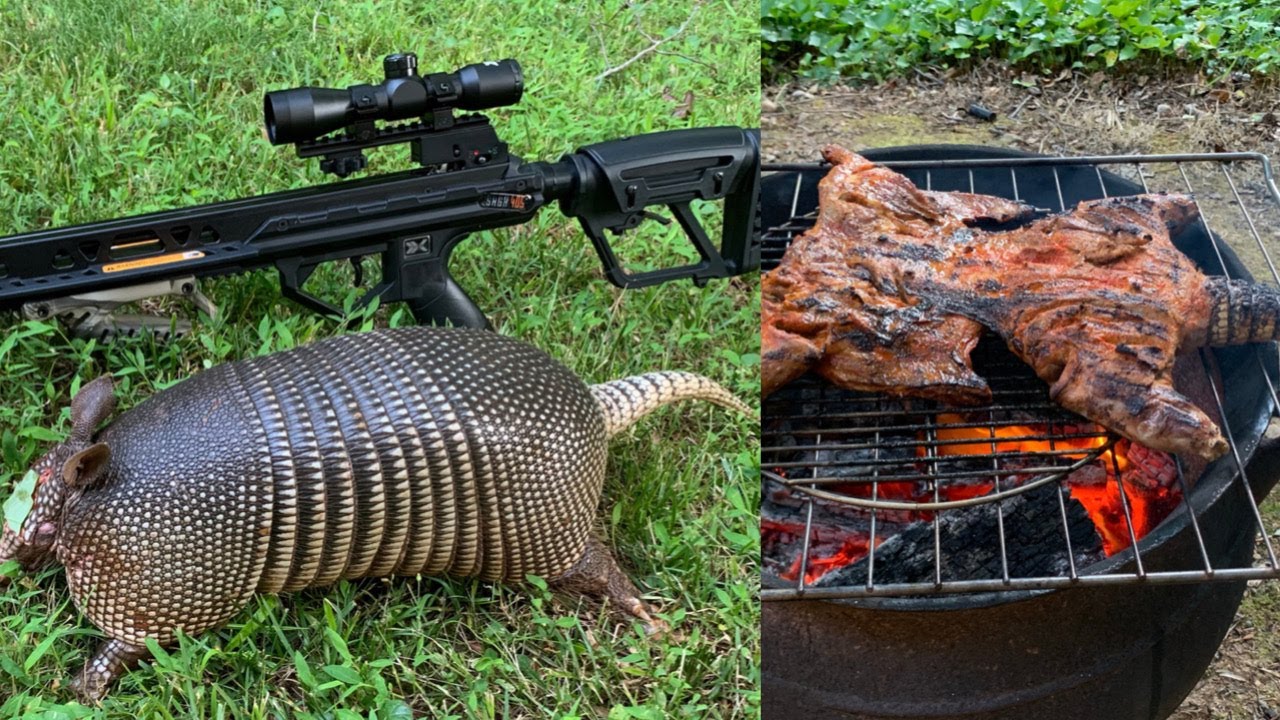 Caceria y Cocina De Armadillo Asado - YouTube