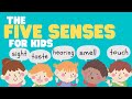 Five Senses for Kids | Learn all about the 5 Senses for kids | Sight, Sound, Smell, Taste, and Touch