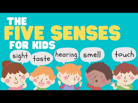 Five Senses for Kids | What are the five senses? Sight, Sound, Smell, Taste, and Touch Instructional Video Five Senses for Kids | What are the five senses? Sight, Sound, Smell, Taste, and Touch Instructional Video