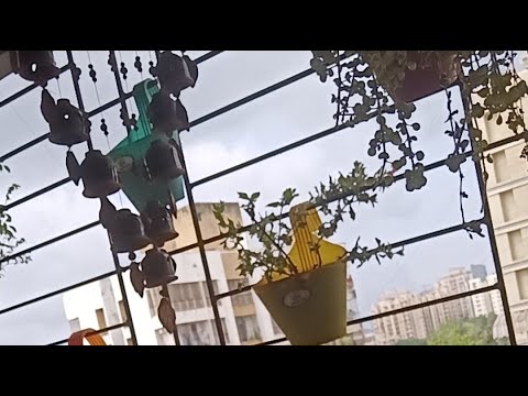 गुड मॉर्निंग जी