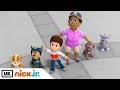 Paw Patrol | Pups Save the SongBirds | Stay Home #WithMe | Nick Jr. UK