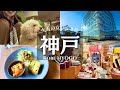 【神戸女ひとり旅】王子公園・灘・岩屋の地元民も知らない神戸の穴場を散策する日のVlog｜神戸灘・観光/グルメ/旅動画