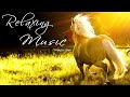 Cha Cha Cha - Tango - Relaxing Music - Musica Relajante - Musique Relaxante - Relaxation Space