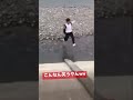 秒で笑えるww#shorts