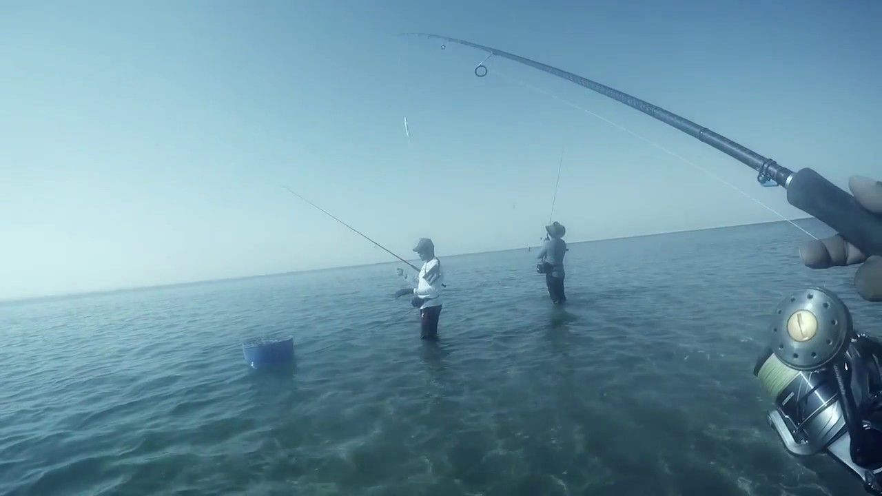 Team MEGABASS - QatarAngler 25/10/2016