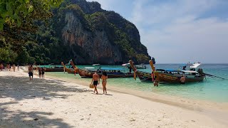 Monkey Beach, Koh Phi Phi islands, Thailand (2022) (4K) Macaque monkeys at Ko Phi Phi Don