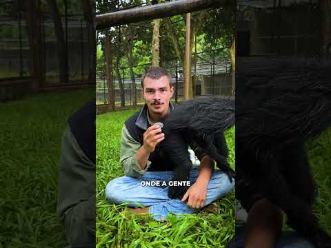 Clique no link da bio e faça parte disso!